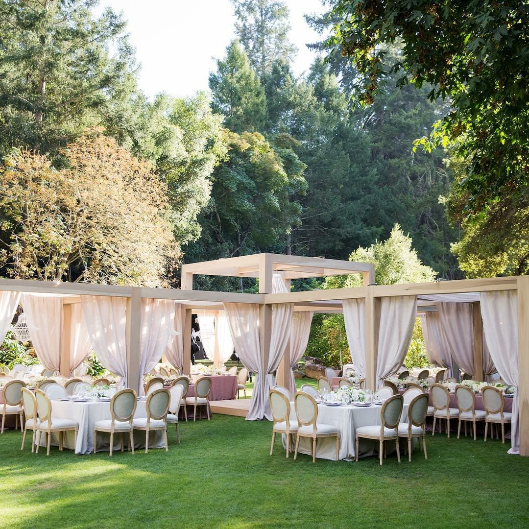 Louis chairs at a garden Louis chairs at a garden